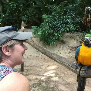 Meet your Posher, Diann